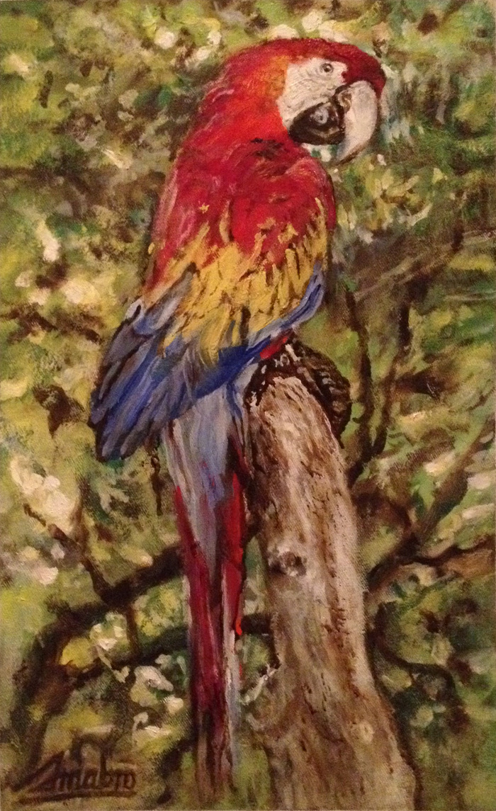 parrot12x20oil