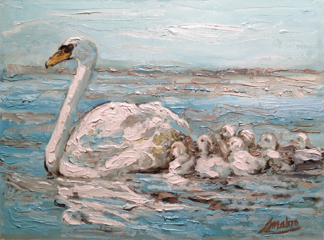 swanWithCygnets12x16oilOnCanvas.JPG